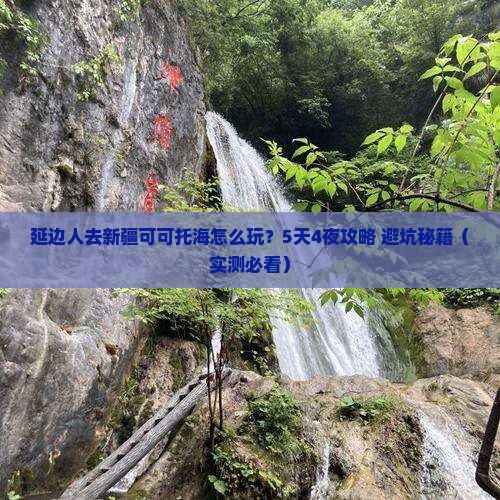 延边去新疆可可托海团体旅游