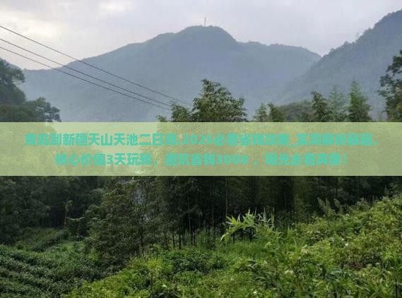 青岛到新疆天山天池二日游