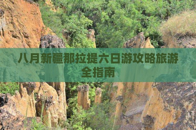 八月去新疆那拉提六日游