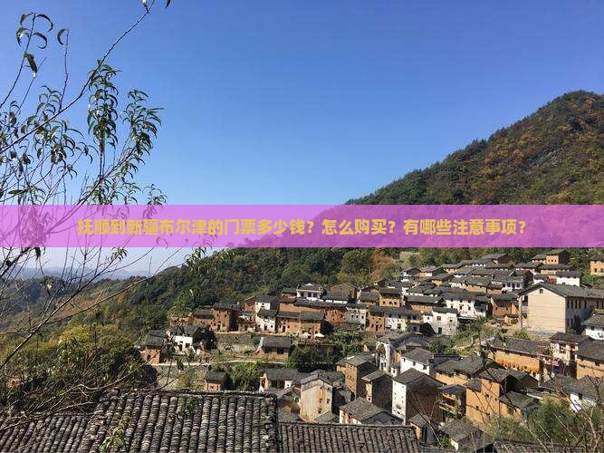 抚顺到新疆布尔津的门票多少钱？怎么购买？有哪些注意事项？
