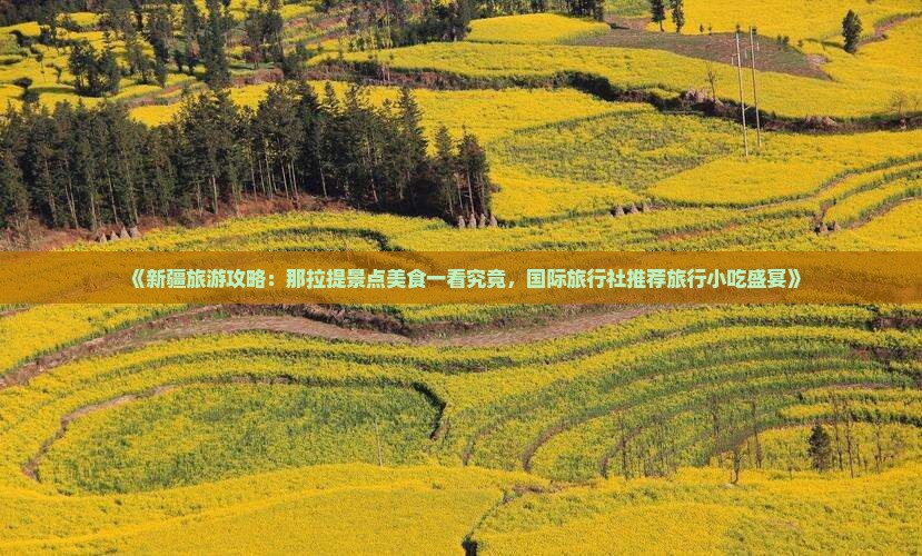《新疆旅游攻略：那拉提景点美食一看究竟，国际旅行社推荐旅行小吃盛宴》