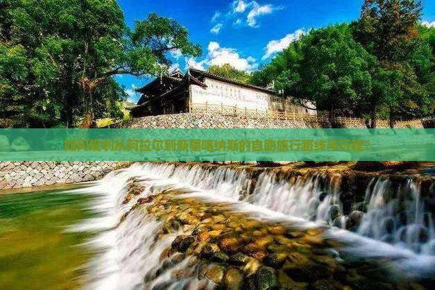 如何规划从阿拉尔到新疆喀纳斯的自助旅行路线与行程？
