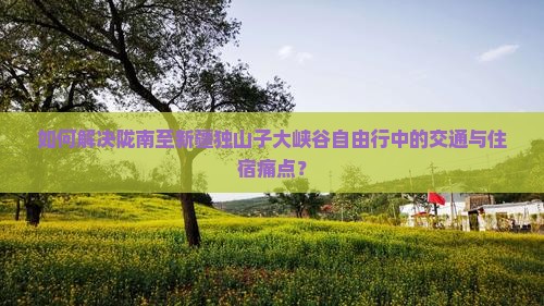 如何解决陇南至新疆独山子大峡谷自由行中的交通与住宿痛点？