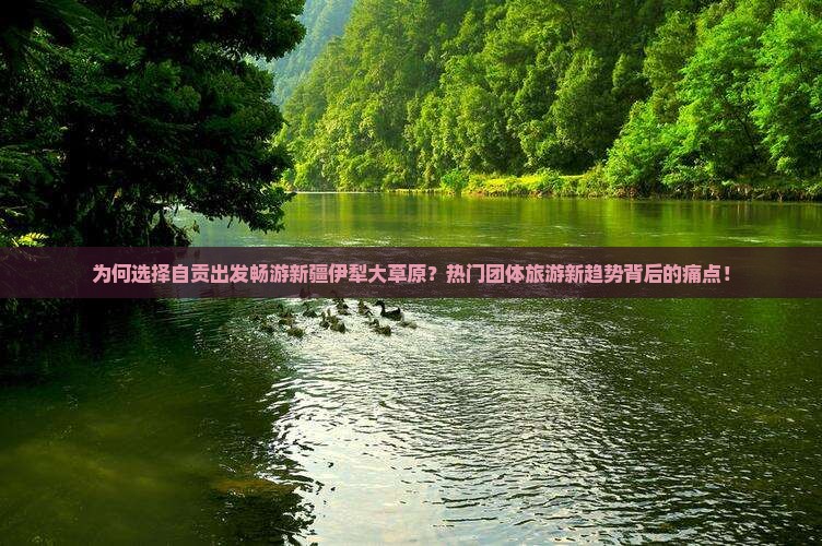 为何选择自贡出发畅游新疆伊犁大草原？热门团体旅游新趋势背后的痛点！