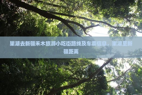 巢湖去新疆禾木旅游小吃街路线及车票信息，巢湖至新疆距离