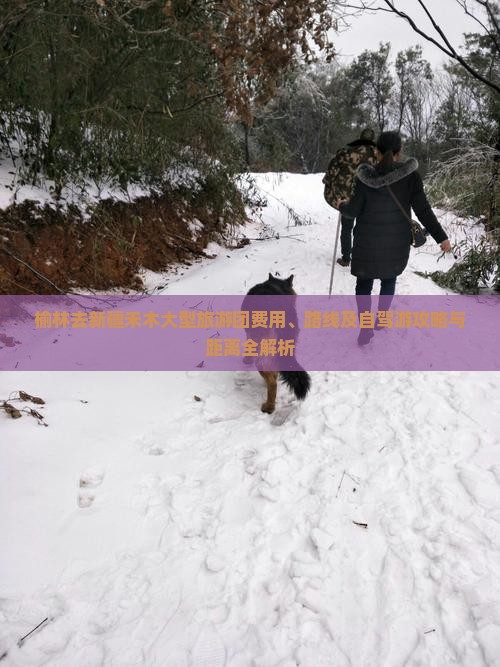 榆林去新疆禾木大型旅游团费用、路线及自驾游攻略与距离全解析