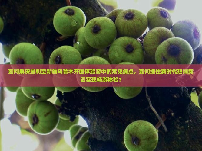 如何解决垦利至新疆乌鲁木齐团体旅游中的常见痛点，如何抓住新时代热词新词实现畅游体验？