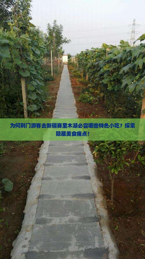 为何荆门游客去新疆赛里木湖必尝哪些特色小吃？探索隐藏美食痛点！