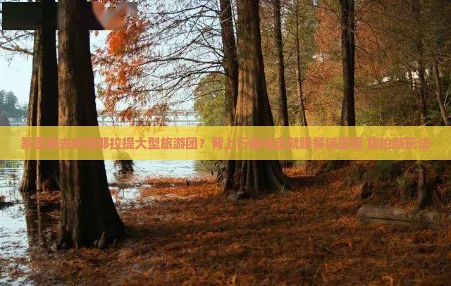 黔西南去新疆那拉提大型旅游团？背上行囊说走就赚解锁露营+旅拍新玩法