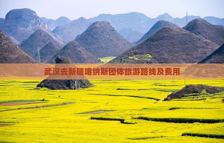 武汉去新疆喀纳斯团体旅游路线及费用