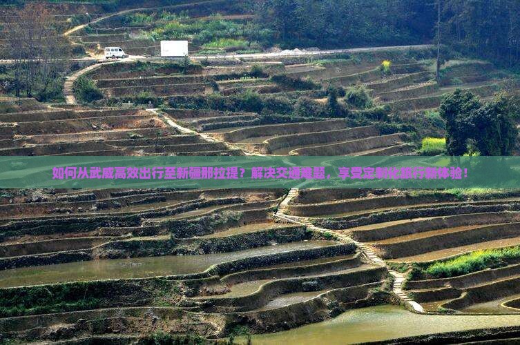 如何从武威高效出行至新疆那拉提？解决交通难题，享受定制化旅行新体验！