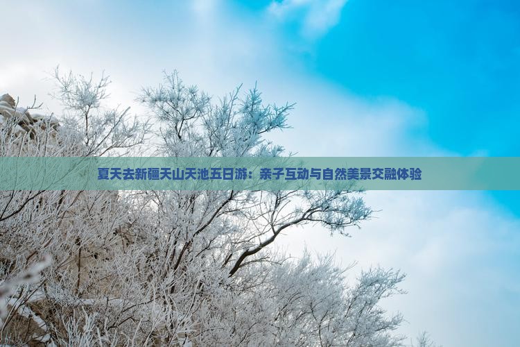 夏天去新疆天山天池五日游：亲子互动与自然美景交融体验
