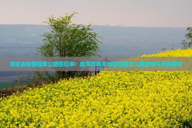 哈密去新疆独库公路四日游：自驾攻略及哈密至独库公路路线与距离解析