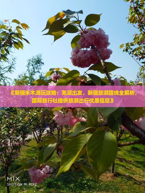 《新疆禾木游玩攻略：芜湖出发，新疆旅游路线全解析，国际旅行社提供旅游出行优惠信息》