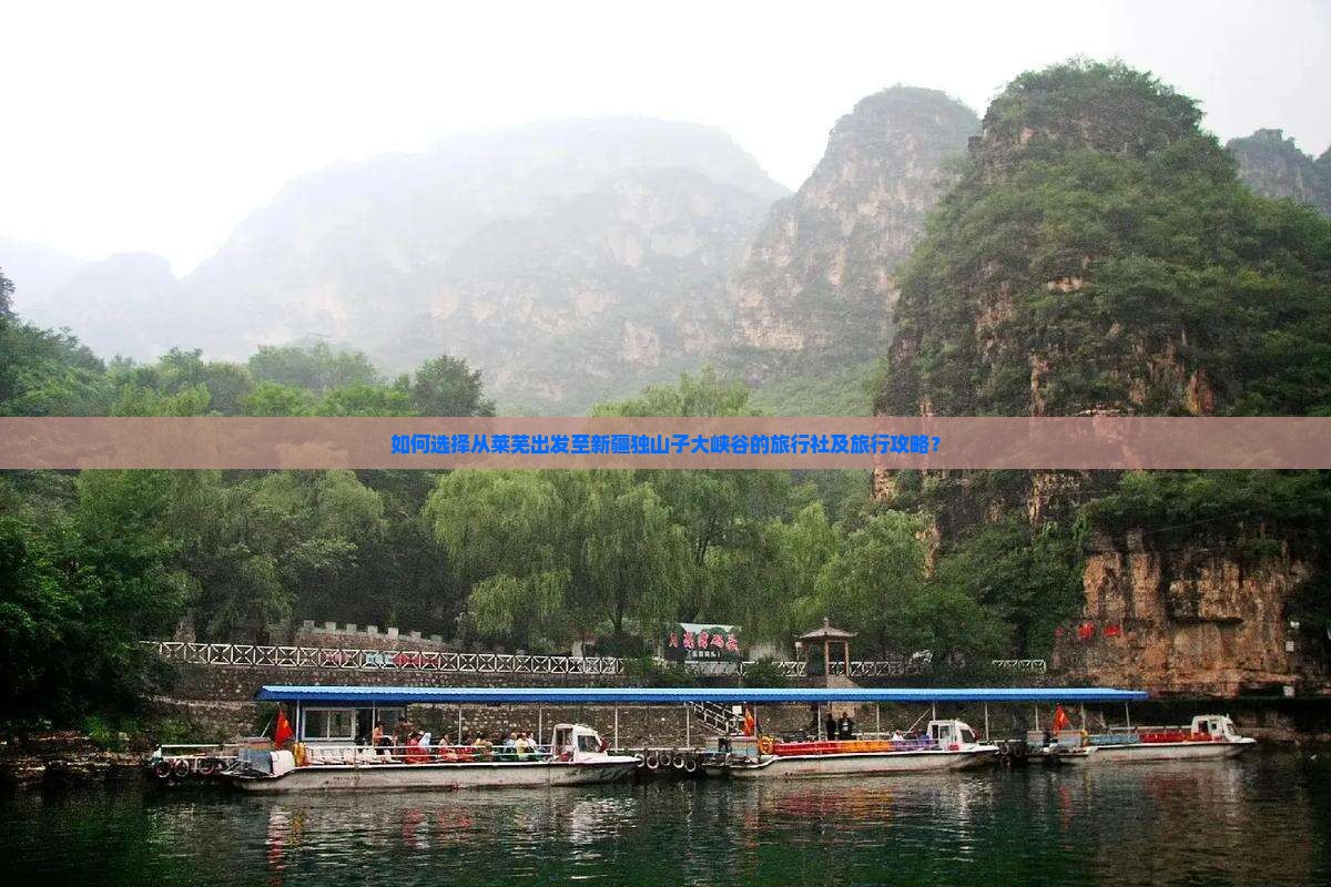 如何选择从莱芜出发至新疆独山子大峡谷的旅行社及旅行攻略？