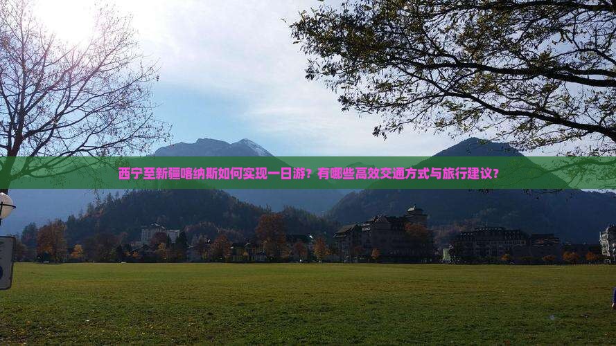 西宁至新疆喀纳斯如何实现一日游？有哪些高效交通方式与旅行建议？