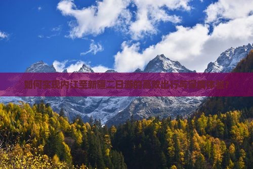 如何实现内江至新疆二日游的高效出行与深度体验？
