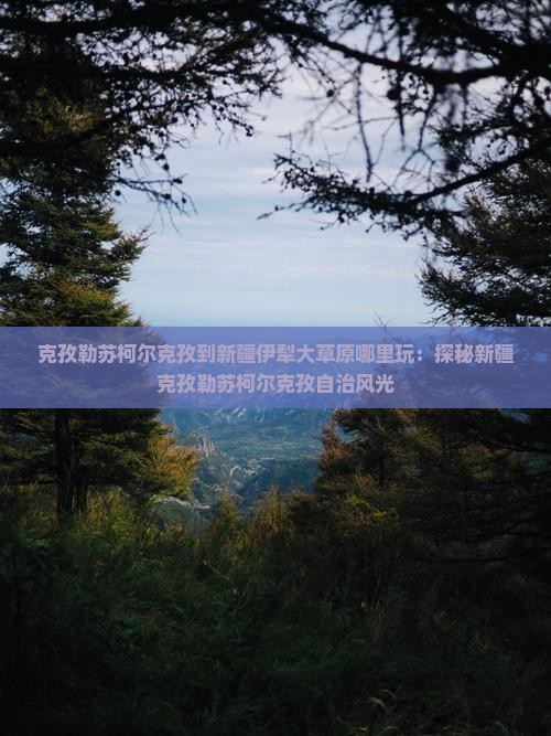 克孜勒苏柯尔克孜到新疆伊犁大草原哪里玩：探秘新疆克孜勒苏柯尔克孜自治风光