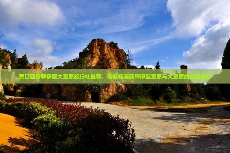 营口到新疆伊犁大草原旅行社推荐，带你畅游新疆伊犁草原与大草原的壮丽旅行