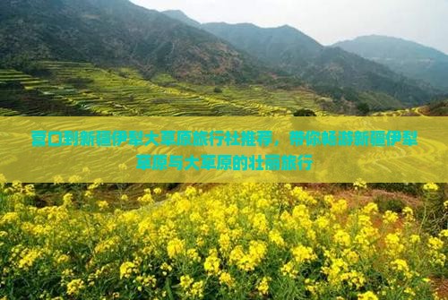 营口到新疆伊犁大草原旅行社推荐，带你畅游新疆伊犁草原与大草原的壮丽旅行