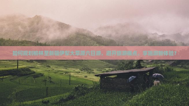 如何规划榆林至新疆伊犁大草原六日游，避开旅游痛点，享施游新体验？