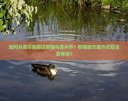 如何从库尔勒前往新疆乌鲁木齐？有哪些交通方式和注意事项？