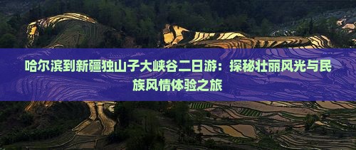 哈尔滨到新疆独山子大峡谷二日游：探秘壮丽风光与民族风情体验之旅