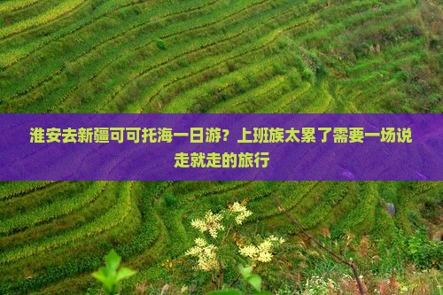 淮安去新疆可可托海一日游？上班族太累了需要一场说走就走的旅行