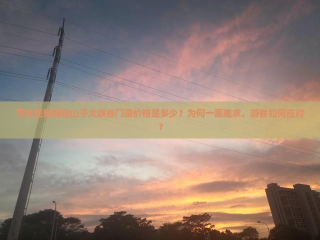 萍乡至新疆独山子大峡谷门票价格是多少？为何一票难求，游客如何应对？