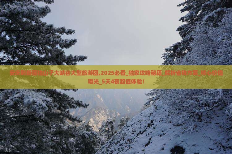 安庆到新疆独山子大峡谷大型旅游团