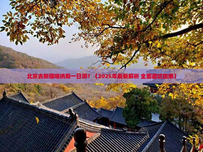 北京去新疆喀纳斯一日