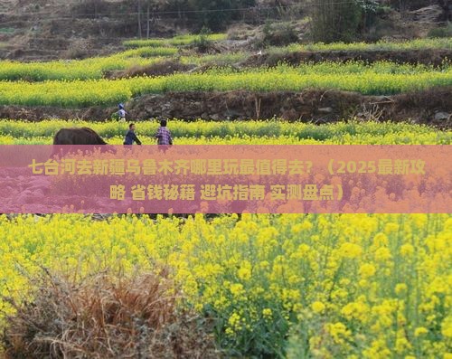 七台河去新疆乌鲁木齐哪里玩