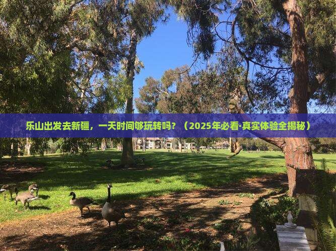 乐山到新疆一日