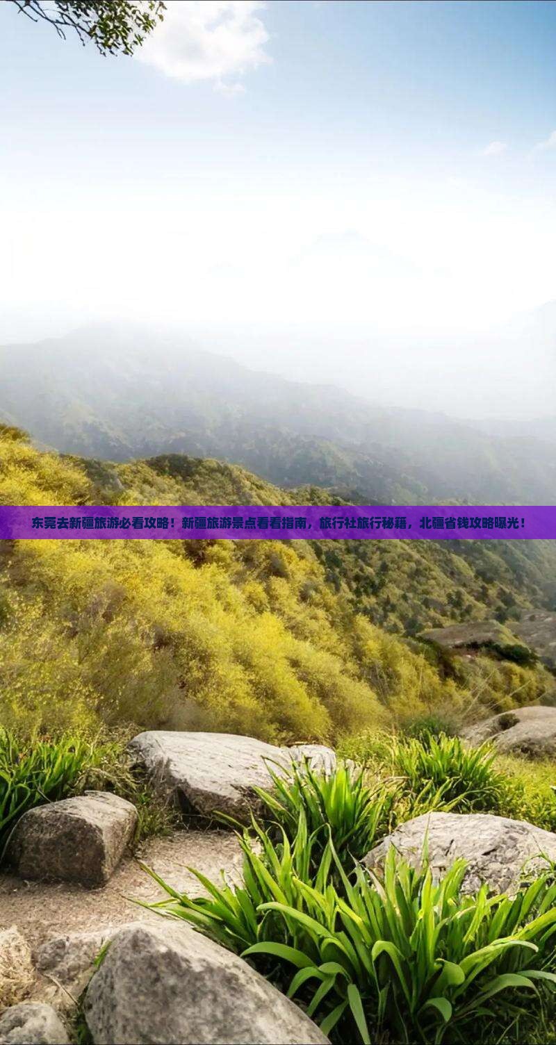 东莞去新疆旅游