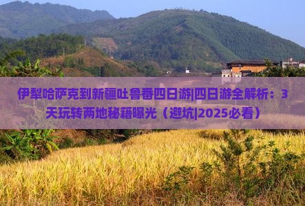 伊犁哈萨克到新疆吐鲁番四日游