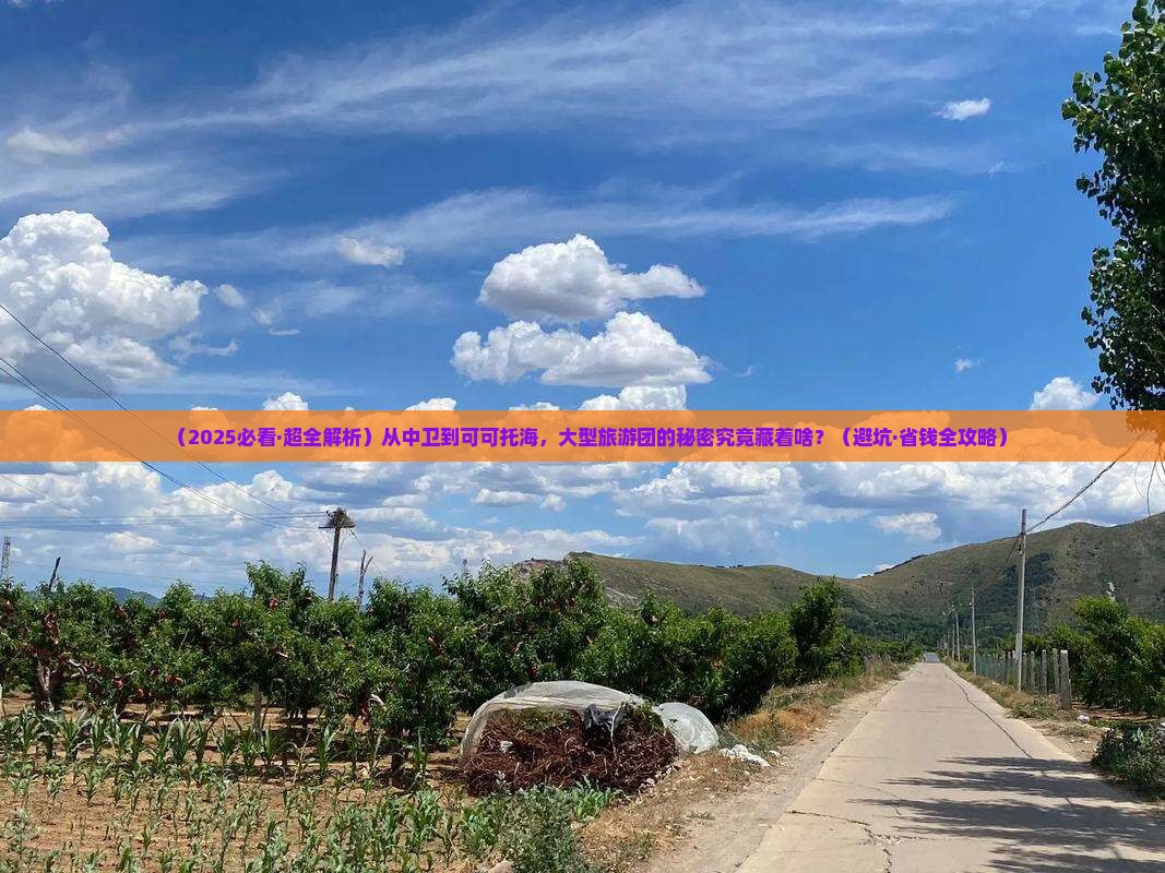 中卫去新疆可可托海大型旅游团