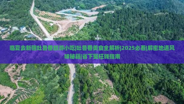 临夏去新疆吐鲁番旅游小吃