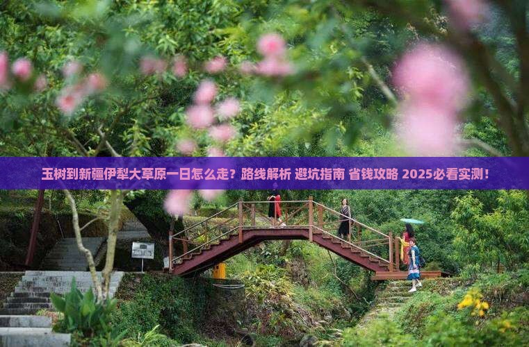 玉树到新疆伊犁大草原一日