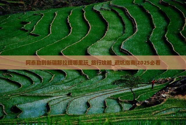 阿泰勒到新疆那拉提哪里玩