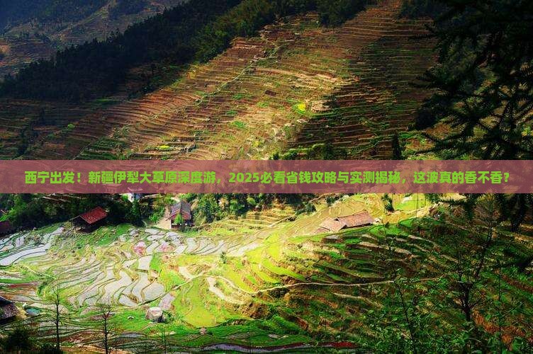 西宁到新疆伊犁大草原大型旅游团