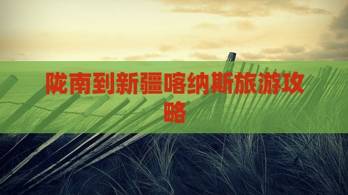 陇南到新疆喀纳斯必去地