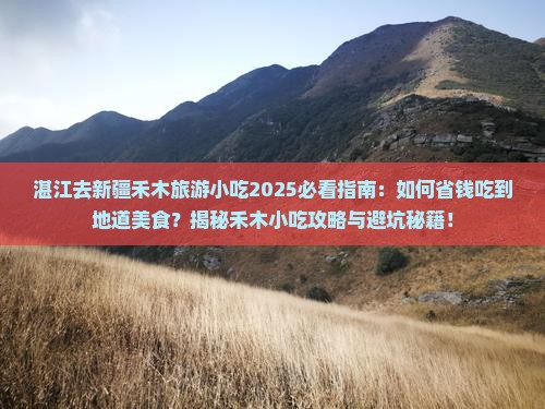 湛江去新疆禾木旅游小吃