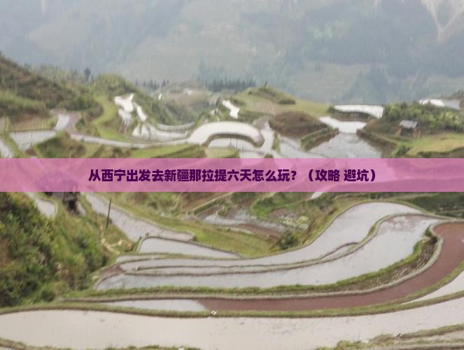 西宁去新疆那拉提六日游