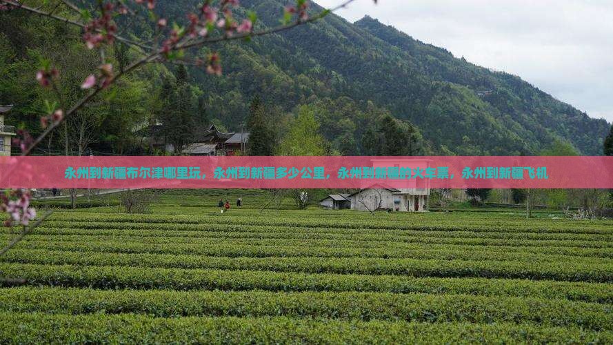 永州到新疆布尔津哪里玩