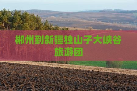 郴州到新疆独山子大峡谷大型旅游团