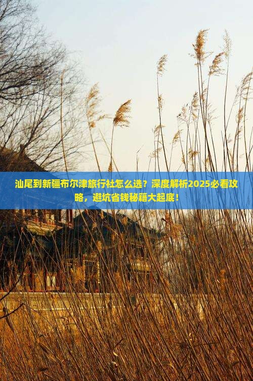 汕尾到新疆布尔津旅行社