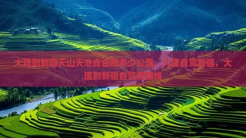 大理到新疆天山天池自由团