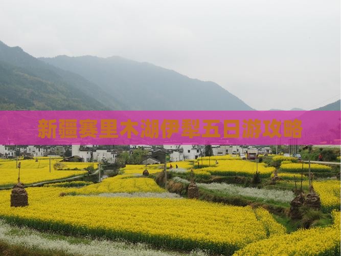 七月到新疆赛里木湖五日游