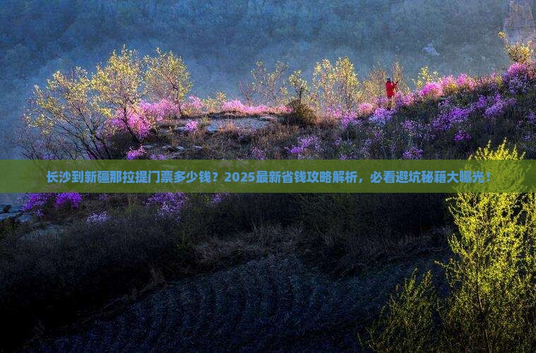 长沙到新疆那拉提门票