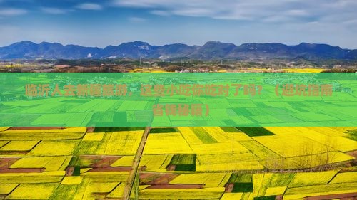 临沂去新疆旅游小吃